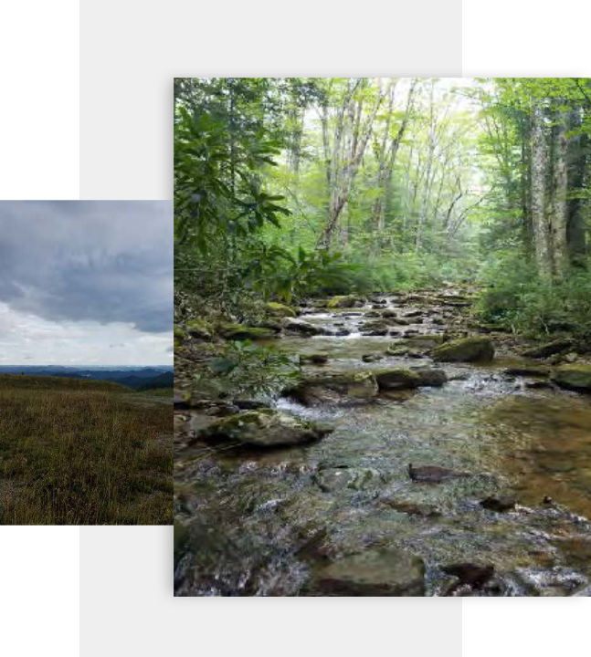 Two picturesque images of a stream in the woods, showcasing the serene beauty of nature.
